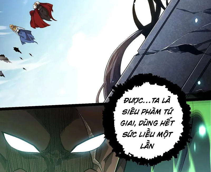 Chuyển Sinh Thành Liễu Đột Biến Chapter 255 - Trang 4