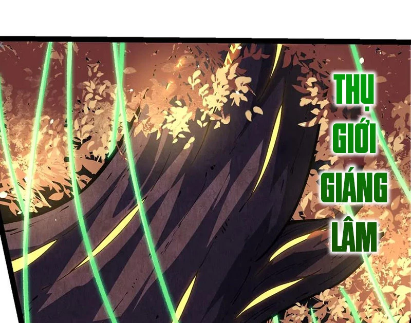 Chuyển Sinh Thành Liễu Đột Biến Chapter 255 - Trang 4