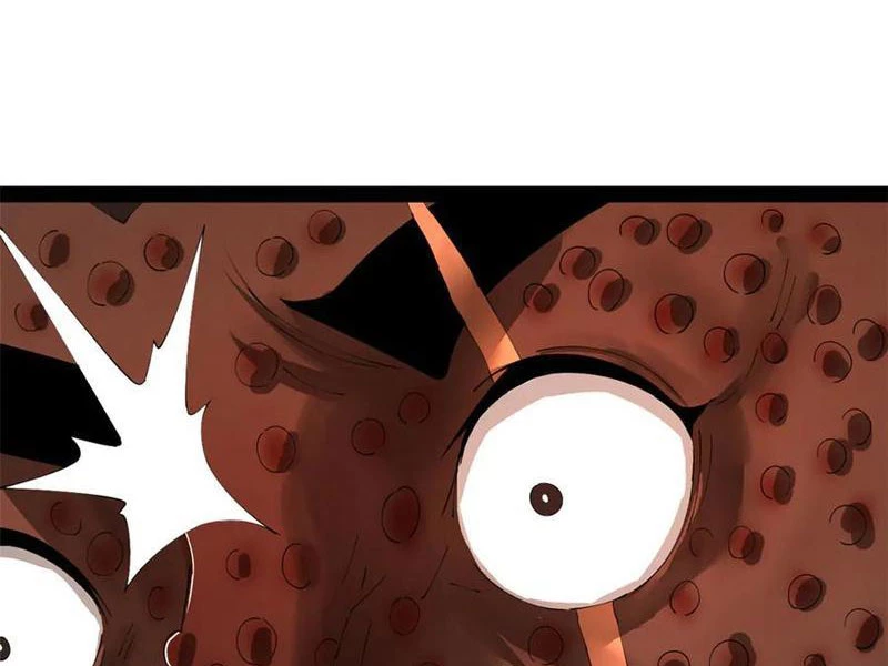 Chàng Rể Mạnh Nhất Lịch Sử Chapter 216 - Trang 4