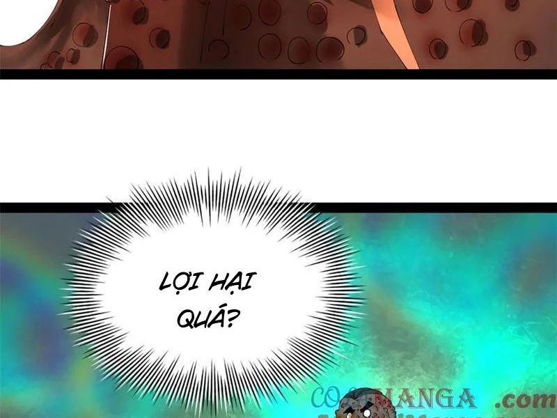 Chàng Rể Mạnh Nhất Lịch Sử Chapter 216 - Trang 4