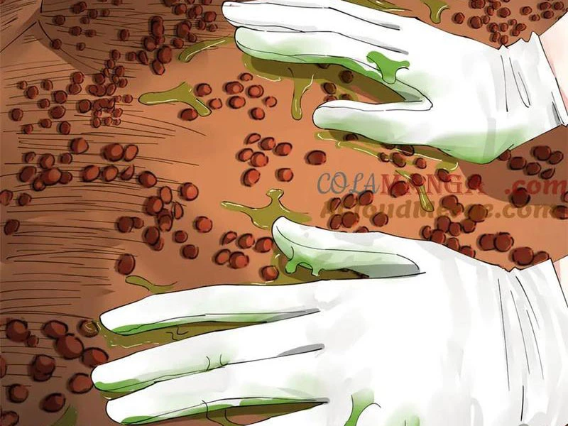 Chàng Rể Mạnh Nhất Lịch Sử Chapter 216 - Trang 4