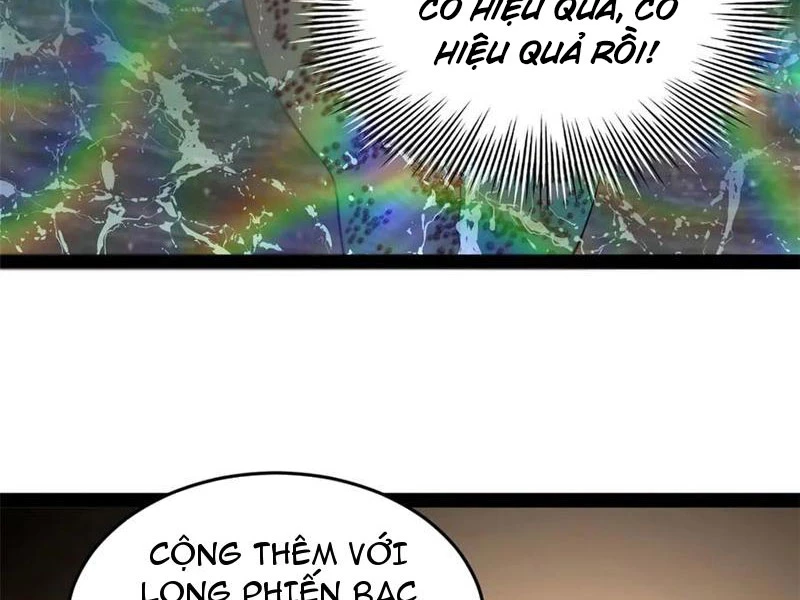 Chàng Rể Mạnh Nhất Lịch Sử Chapter 216 - Trang 4