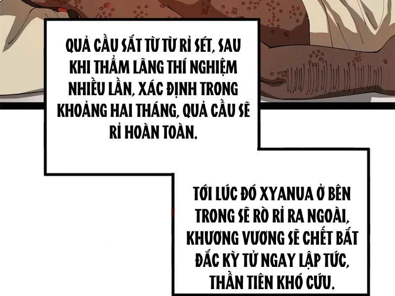 Chàng Rể Mạnh Nhất Lịch Sử Chapter 216 - Trang 4