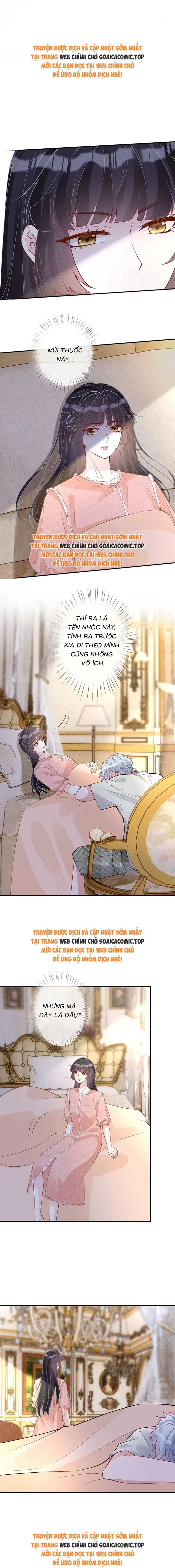 Ôm Khẩn Tiểu Mã Giáp Của Tôi Chapter 322 - Trang 4