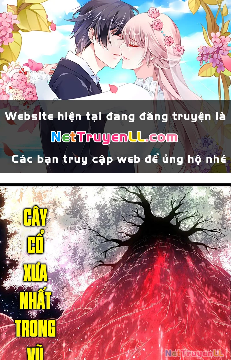 Chuyển Sinh Thành Liễu Đột Biến Chapter 256 - Trang 4