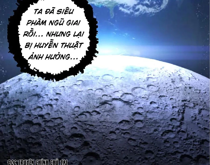 Chuyển Sinh Thành Liễu Đột Biến Chapter 256 - Trang 4