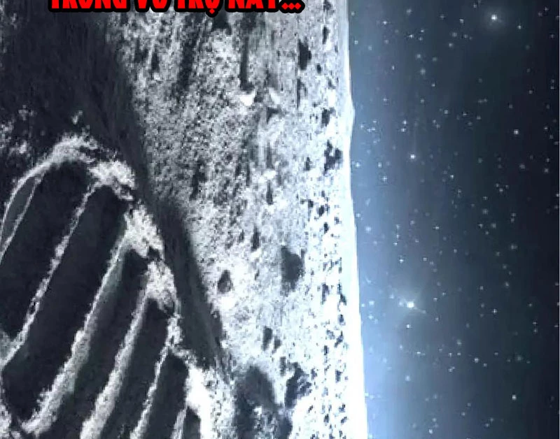 Chuyển Sinh Thành Liễu Đột Biến Chapter 256 - Trang 4