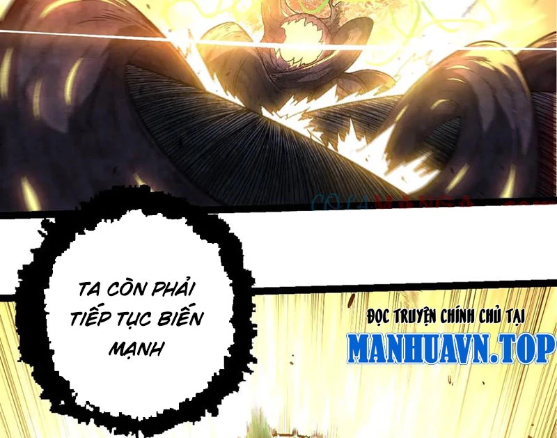 Chuyển Sinh Thành Liễu Đột Biến Chapter 256 - Trang 4