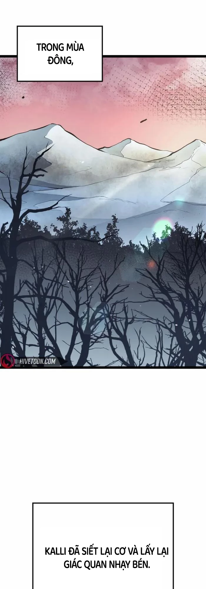 Nhà Vô Địch Kalli Chapter 73 - Next Chapter 74