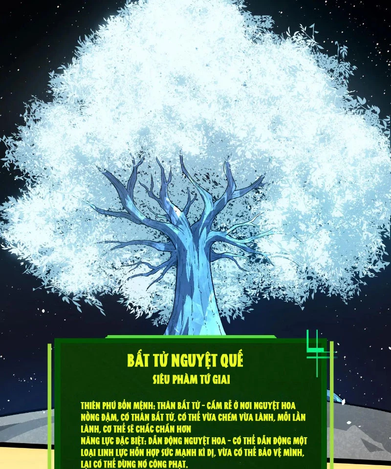 Chuyển Sinh Thành Liễu Đột Biến Chapter 257 - Trang 4