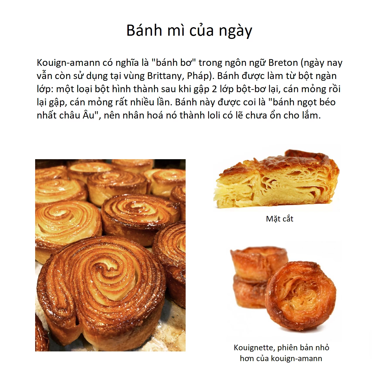 Pan wo Nameruna! Chapter 4 - Trang 2