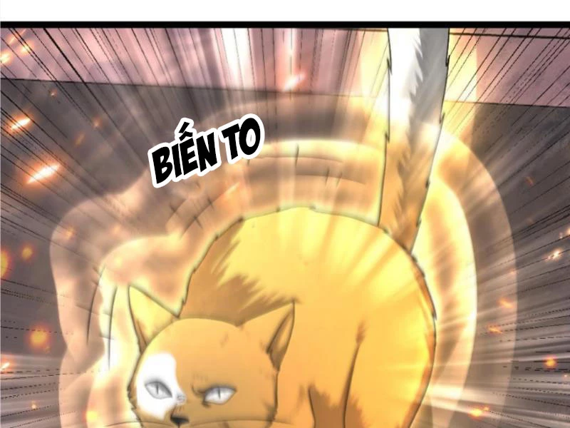 Toàn Cầu Băng Phong: Ta Chế Tạo Phòng An Toàn Tại Tận Thế Chapter 409 - Trang 4