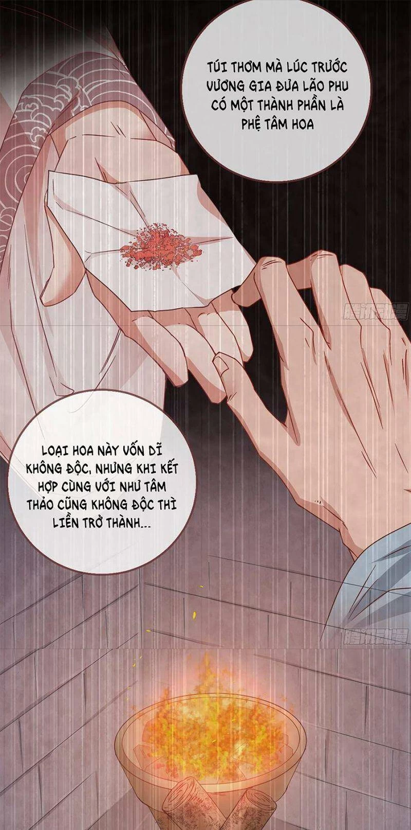 Vạn Tra Triêu Hoàng Chapter 258 - Trang 4