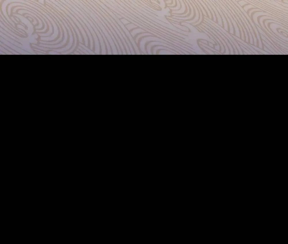 Vạn Tra Triêu Hoàng Chapter 295 - Trang 4