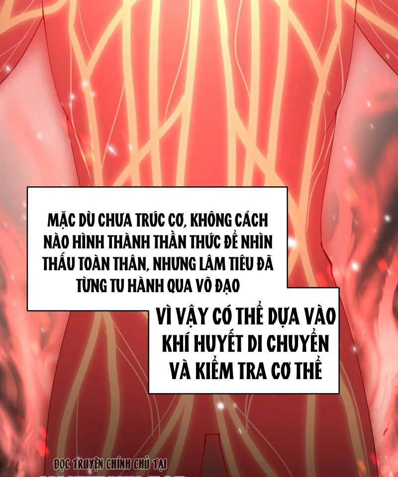 Tu Tiên Bắt Đầu Từ Việc Bị Bạn Bè Xa Lánh Chapter 1 - Trang 2