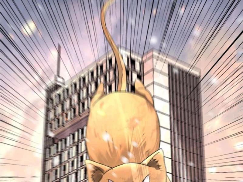 Toàn Cầu Băng Phong: Ta Chế Tạo Phòng An Toàn Tại Tận Thế Chapter 411 - Trang 4