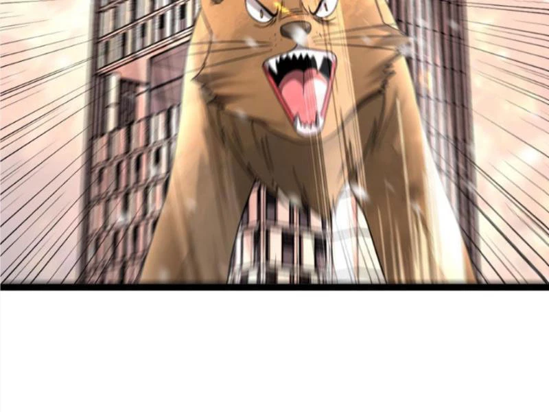 Toàn Cầu Băng Phong: Ta Chế Tạo Phòng An Toàn Tại Tận Thế Chapter 411 - Trang 4