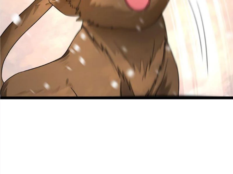 Toàn Cầu Băng Phong: Ta Chế Tạo Phòng An Toàn Tại Tận Thế Chapter 411 - Trang 4