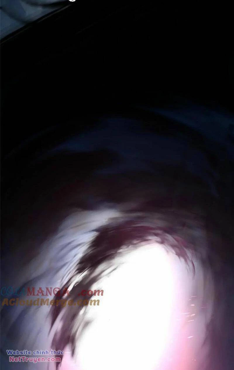 Nữ Chính Từ Trong Sách Chạy Ra Ngoài Rồi Phải Làm Sao Đây Chapter 109 - Trang 3