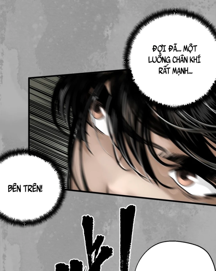 Tạng Phong Hành Chapter 228 - Trang 4