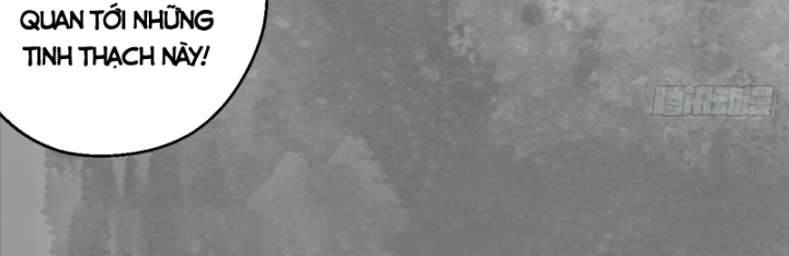 Tạng Phong Hành Chapter 238 - Trang 4