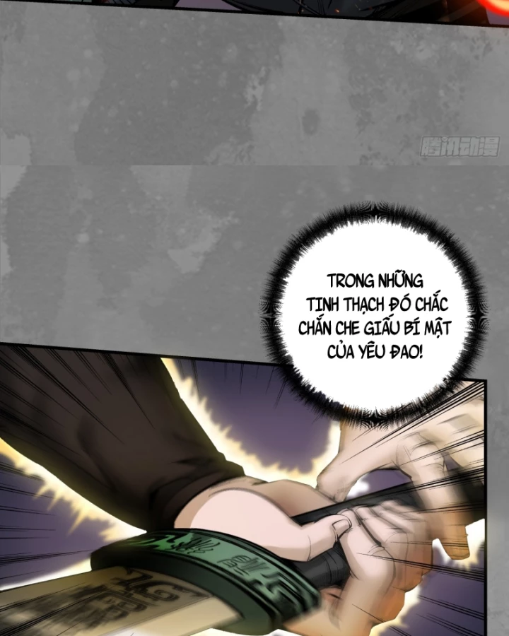 Tạng Phong Hành Chapter 238 - Trang 4