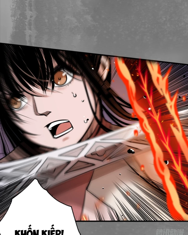 Tạng Phong Hành Chapter 238 - Trang 4