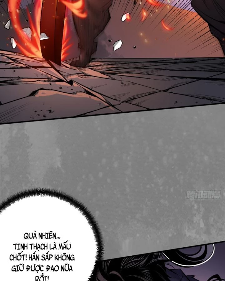 Tạng Phong Hành Chapter 242 - Trang 4