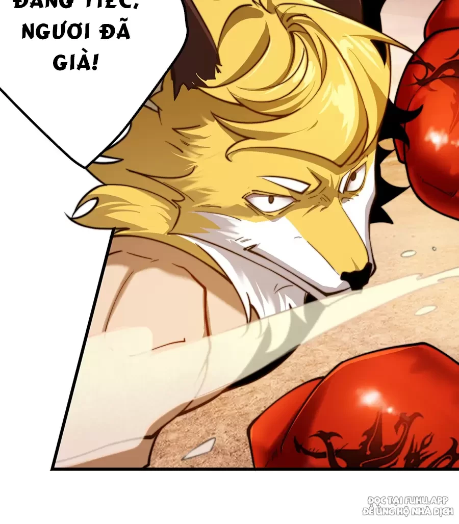 Đồ Đệ Của Ta Là Nữ Đế Chapter 70 - Next Chapter 71