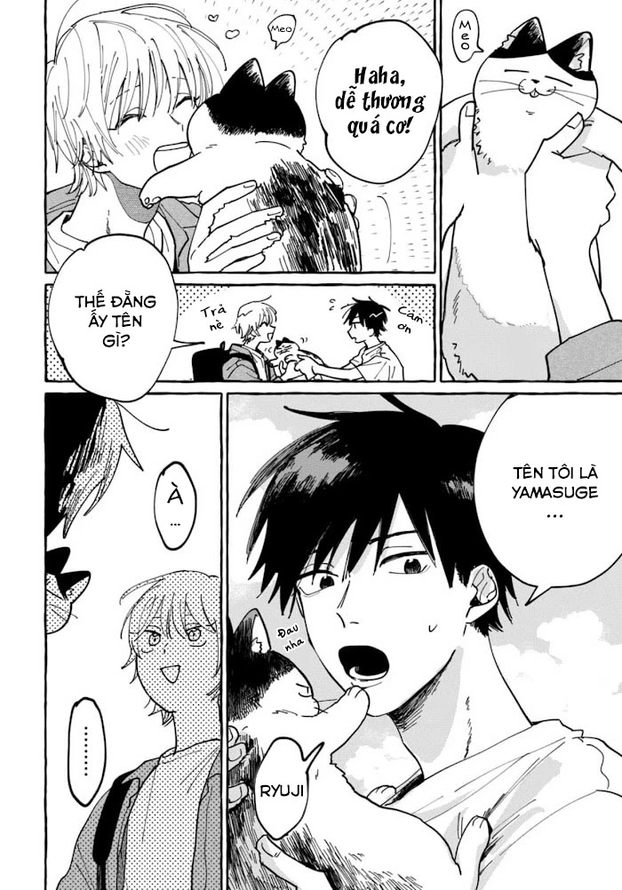 Kimi to Nara Koi wo Shite Mite mo Chapter 1 - Trang 2