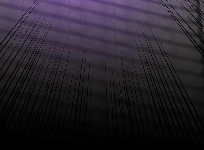 Bắt Đầu Chấn Kinh Nữ Đế Lão Bà, Ta Vô Địch! Chapter 29 - Trang 4