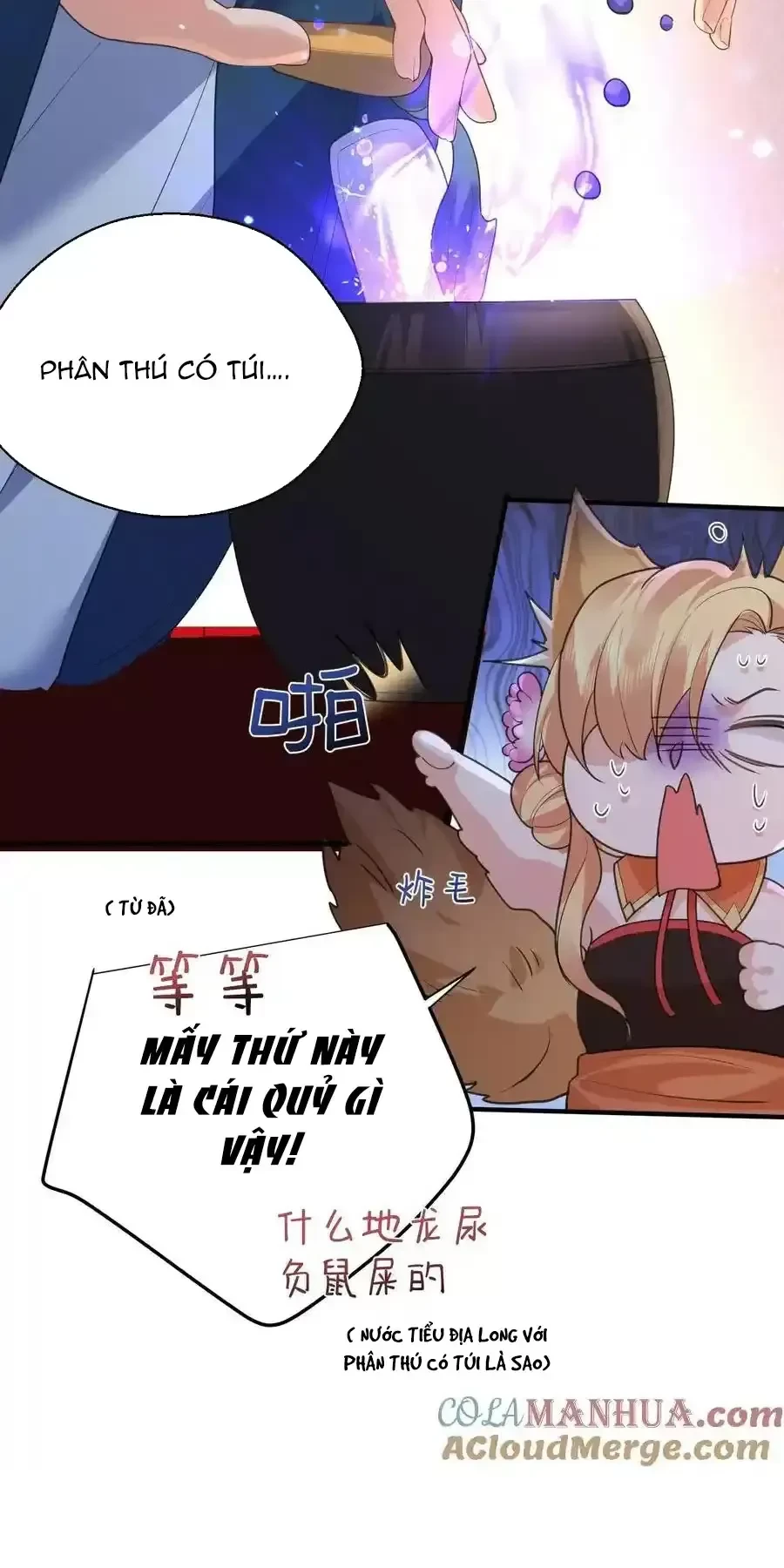 Ta Vô Địch Lúc Nào Chapter 220 - Trang 2