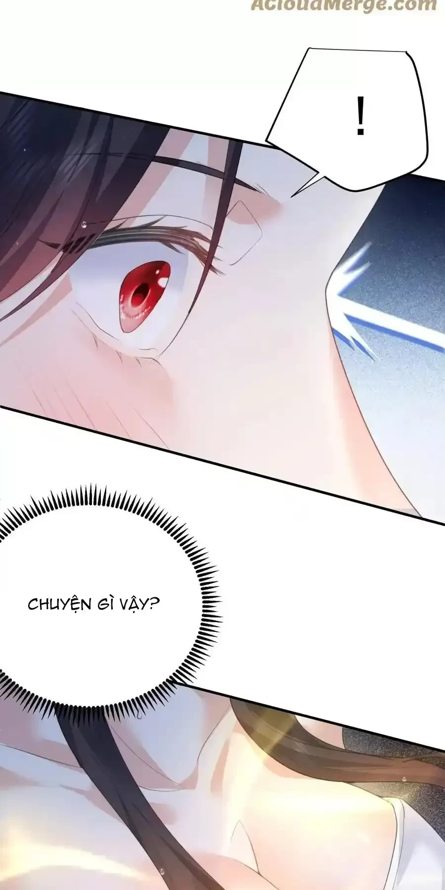 Ta Vô Địch Lúc Nào Chapter 223 - Trang 2