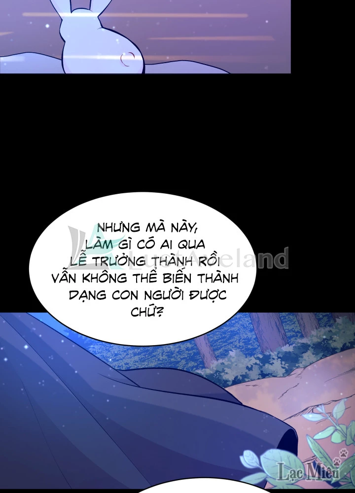 Mối Liên Kết Giữa Báo Đen Và Bé Thỏ Chapter 1 - Trang 2