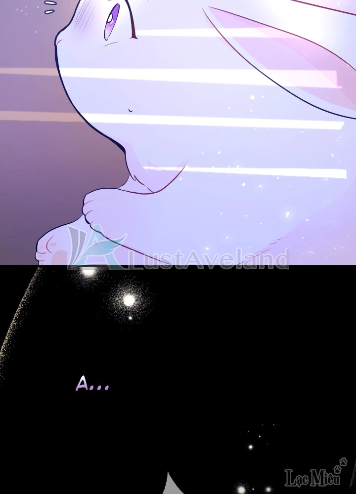 Mối Liên Kết Giữa Báo Đen Và Bé Thỏ Chapter 1 - Trang 2