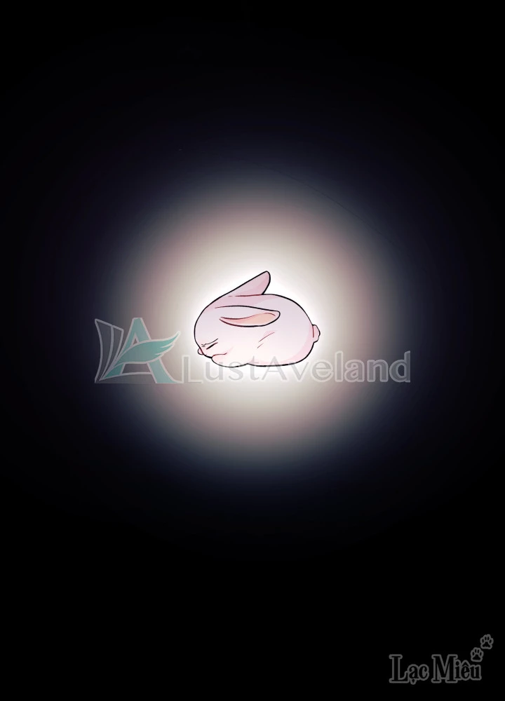 Mối Liên Kết Giữa Báo Đen Và Bé Thỏ Chapter 1 - Trang 2