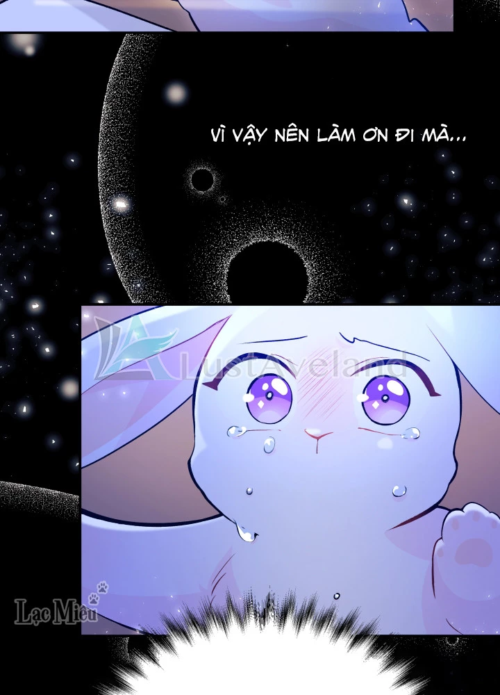 Mối Liên Kết Giữa Báo Đen Và Bé Thỏ Chapter 1 - Trang 2