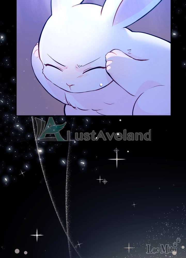 Mối Liên Kết Giữa Báo Đen Và Bé Thỏ Chapter 1 - Trang 2