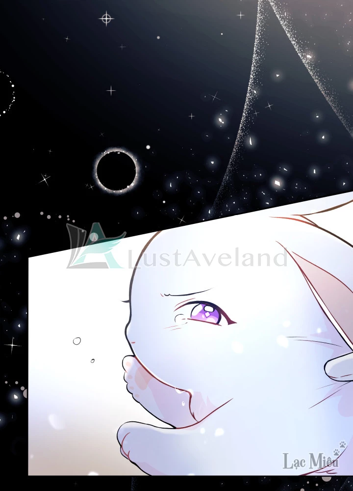 Mối Liên Kết Giữa Báo Đen Và Bé Thỏ Chapter 1 - Trang 2