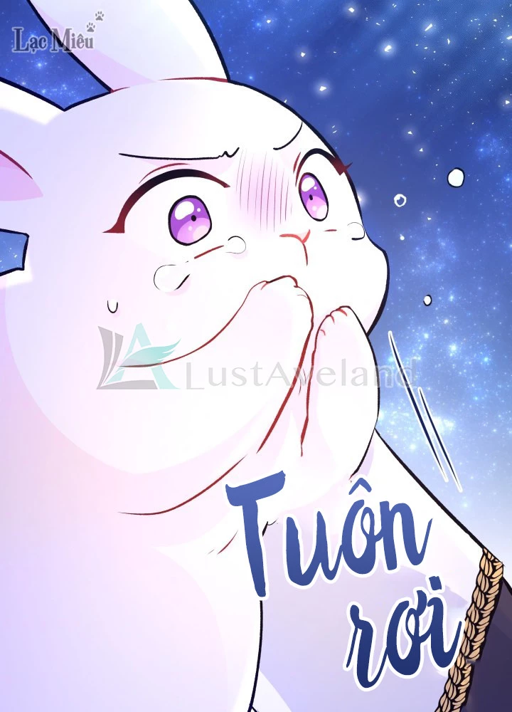 Mối Liên Kết Giữa Báo Đen Và Bé Thỏ Chapter 1 - Trang 2