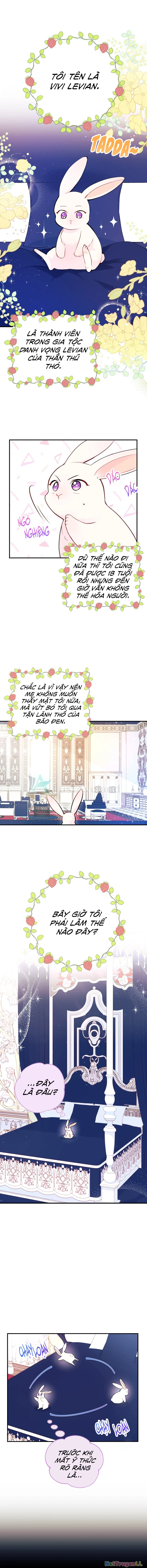 Mối Liên Kết Giữa Báo Đen Và Bé Thỏ Chapter 2 - Trang 2