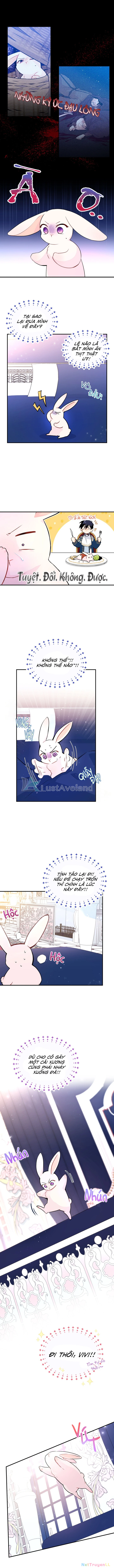 Mối Liên Kết Giữa Báo Đen Và Bé Thỏ Chapter 2 - Trang 2