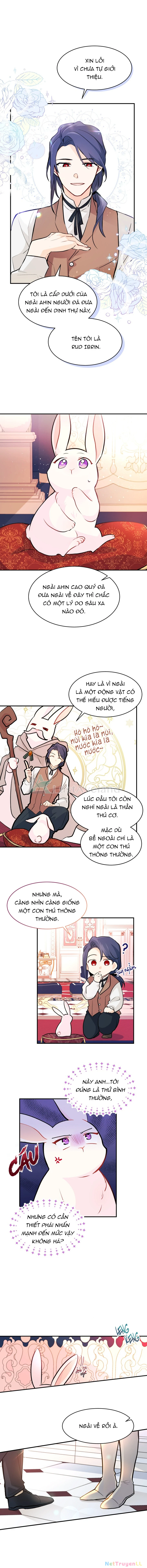 Mối Liên Kết Giữa Báo Đen Và Bé Thỏ Chapter 2 - Trang 2