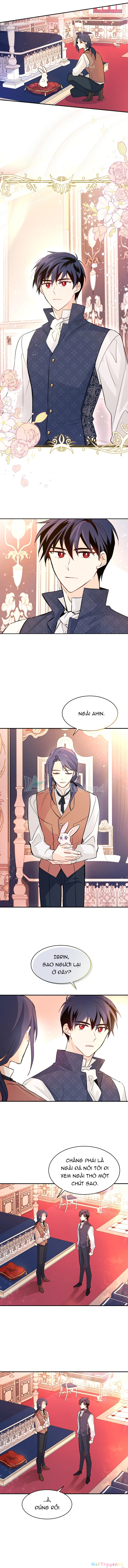 Mối Liên Kết Giữa Báo Đen Và Bé Thỏ Chapter 2 - Trang 2