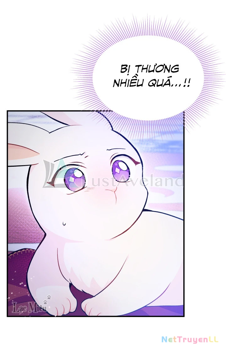 Mối Liên Kết Giữa Báo Đen Và Bé Thỏ Chapter 4 - Trang 2