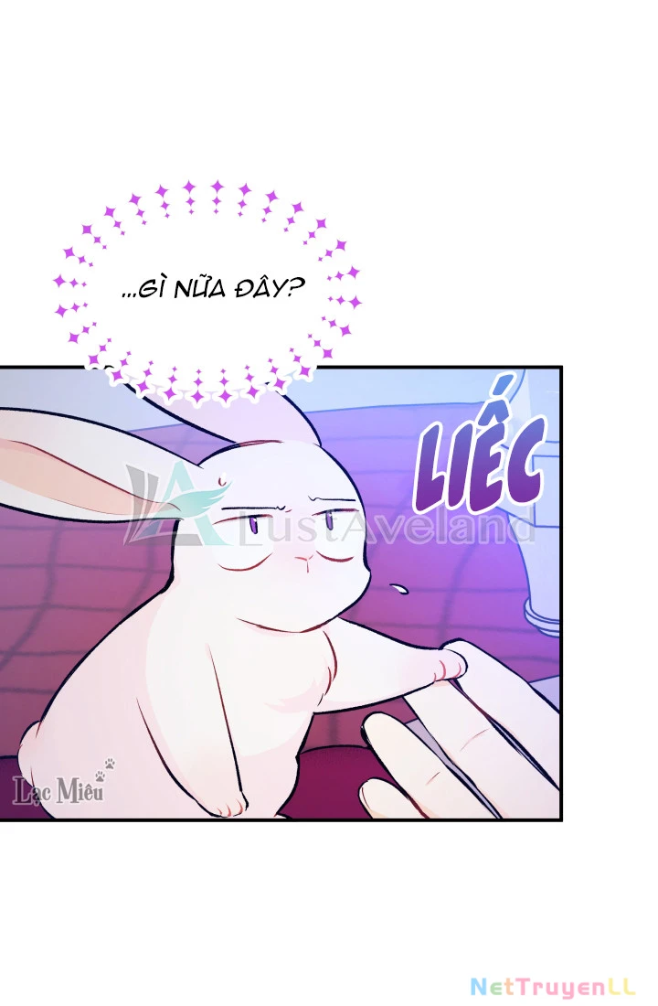 Mối Liên Kết Giữa Báo Đen Và Bé Thỏ Chapter 4 - Trang 2