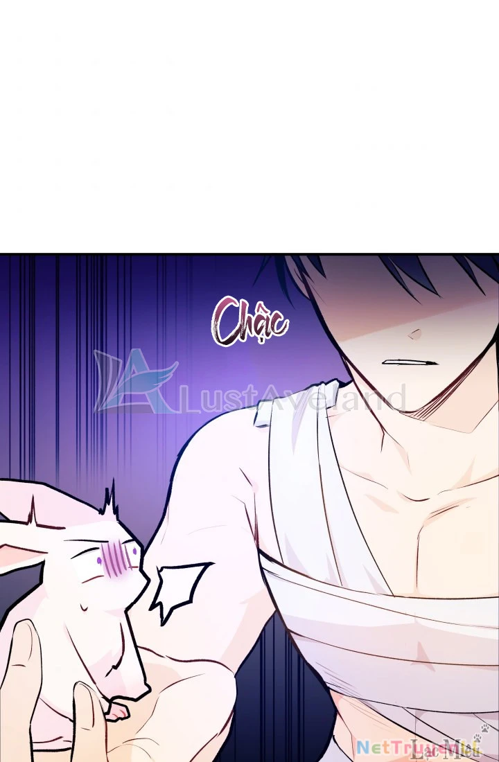 Mối Liên Kết Giữa Báo Đen Và Bé Thỏ Chapter 4 - Trang 2