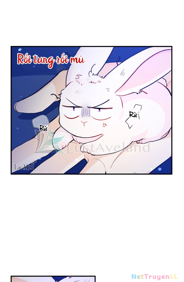 Mối Liên Kết Giữa Báo Đen Và Bé Thỏ Chapter 4 - Trang 2