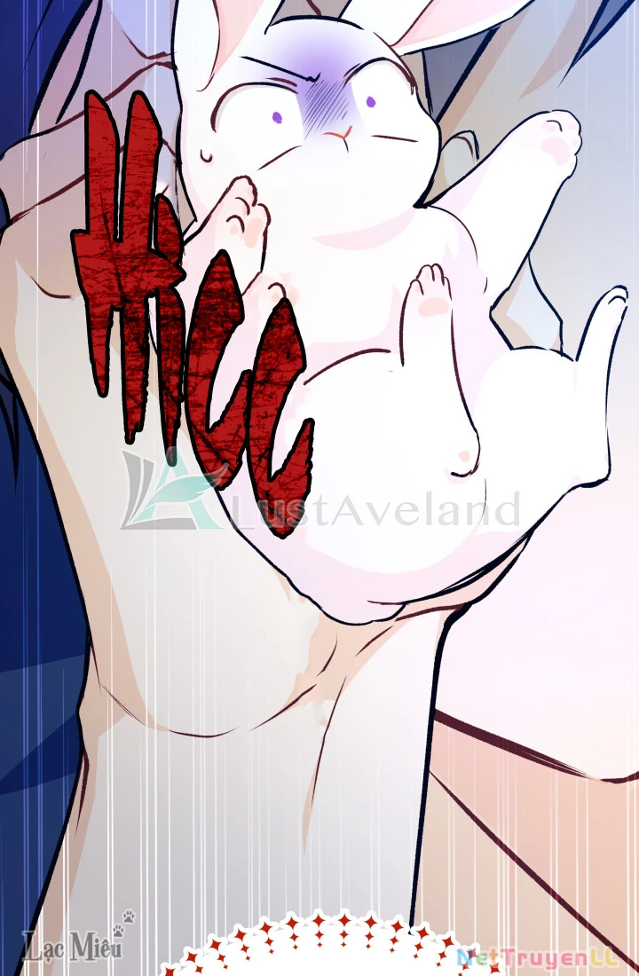 Mối Liên Kết Giữa Báo Đen Và Bé Thỏ Chapter 4 - Trang 2