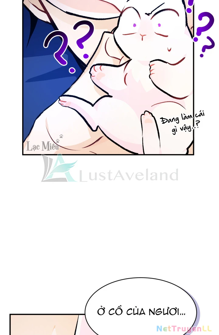 Mối Liên Kết Giữa Báo Đen Và Bé Thỏ Chapter 4 - Trang 2